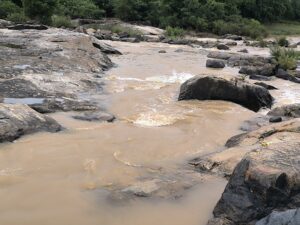 ಅಸೋಗಾ ಬಳಿ ಮೈದುಂಬಿದ ಮಲಪ್ರಭೆ