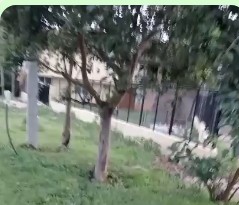 ಅವೈಜ್ಞಾನಿಕವಾಗಿ ವಿದ್ಯುತ್ ಕಂಬ ಅಳವಡಿಸಿದ ಹೆಸ್ಕಾಂ…!